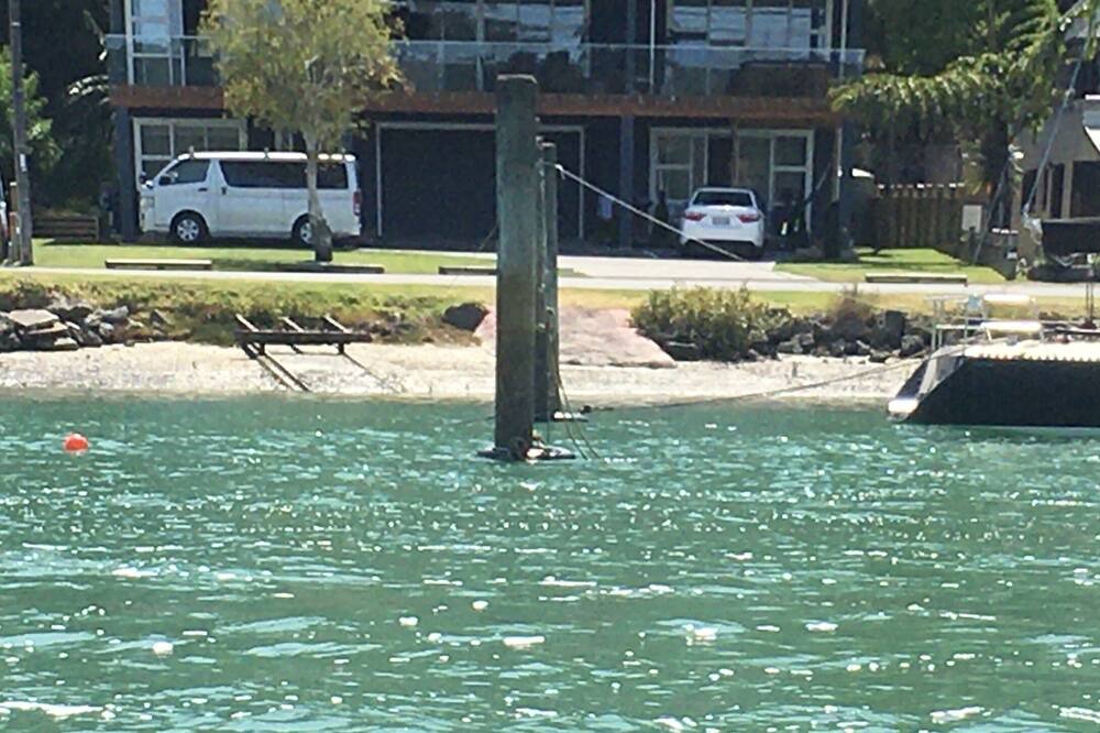 Photo of Others in Arkles Bay