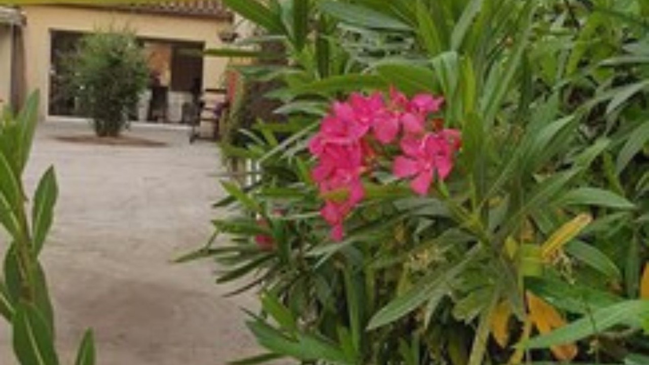 Photo of Outdoor in Boutenac-Touvent