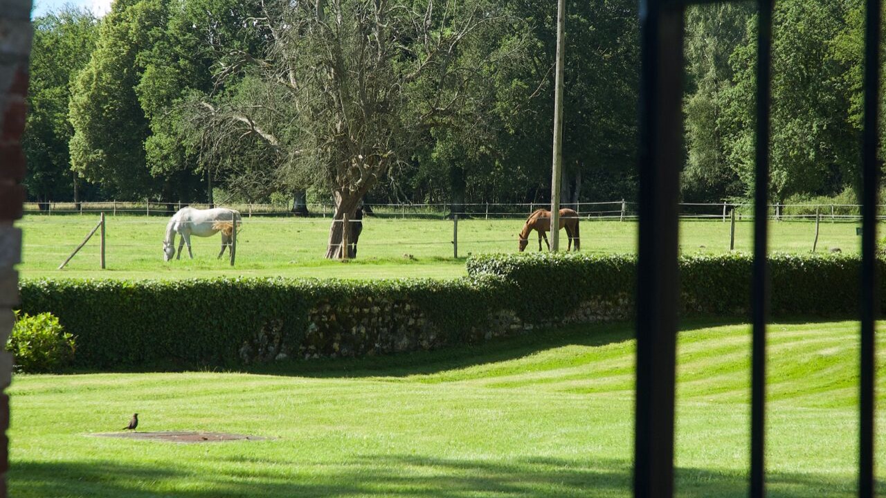 Photo of Outdoor in La Haye-Malherbe