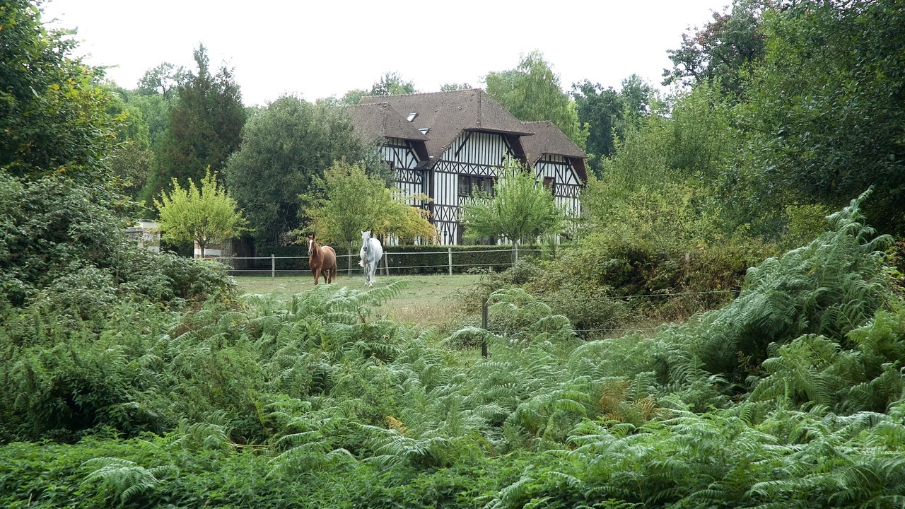 Photo of Outdoor in La Haye-Malherbe