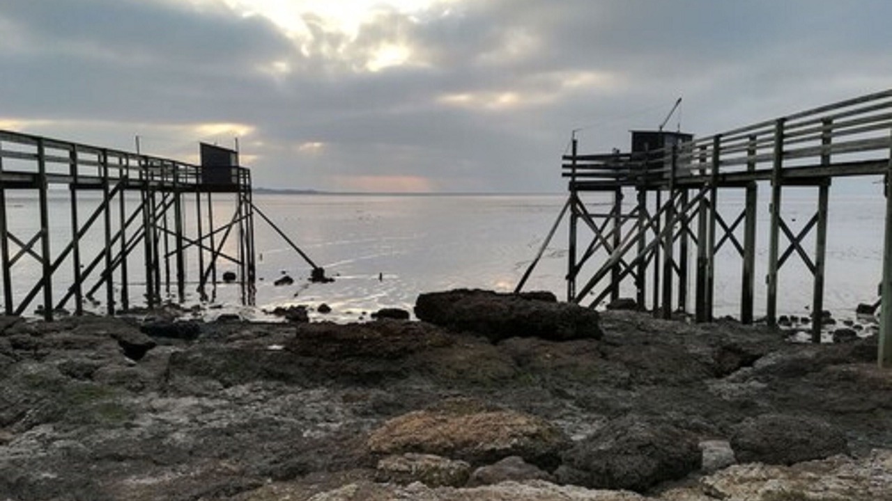 Photo of Outdoor in Tonnay-Boutonne