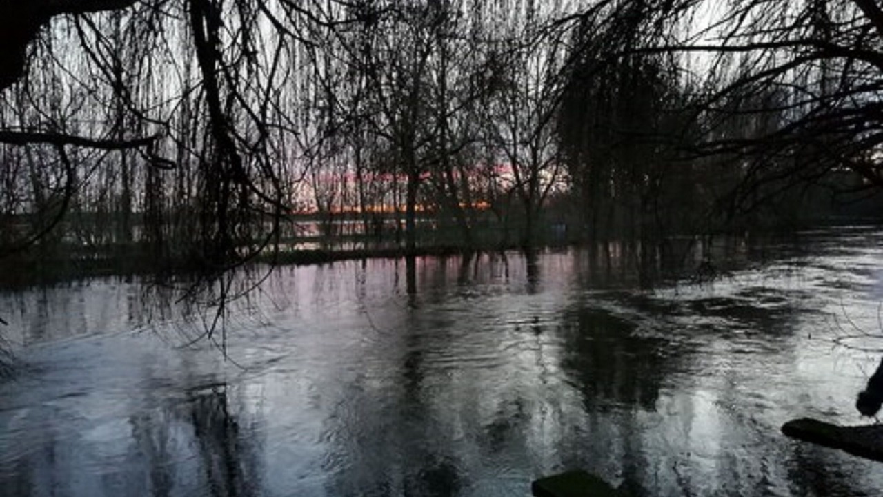 Photo of Others in Tonnay-Boutonne