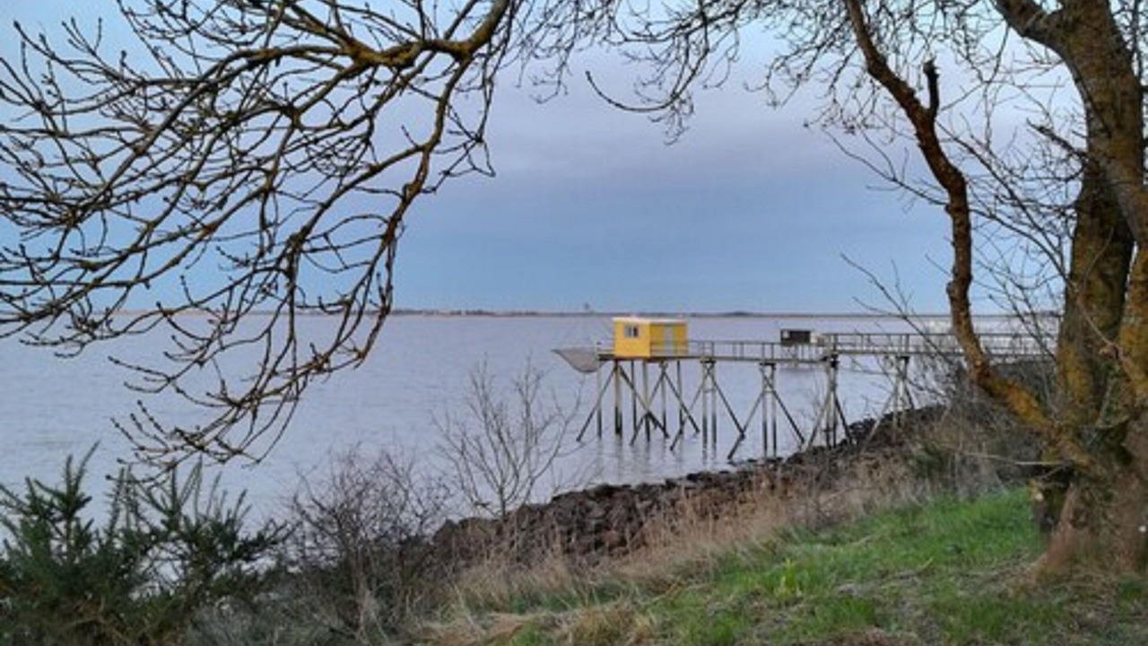Photo of Outdoor in Tonnay-Boutonne