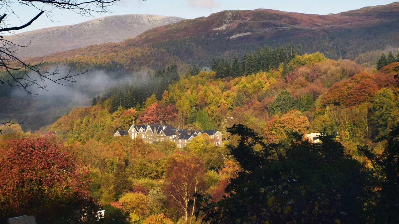 Photo of Others in Dolgellau