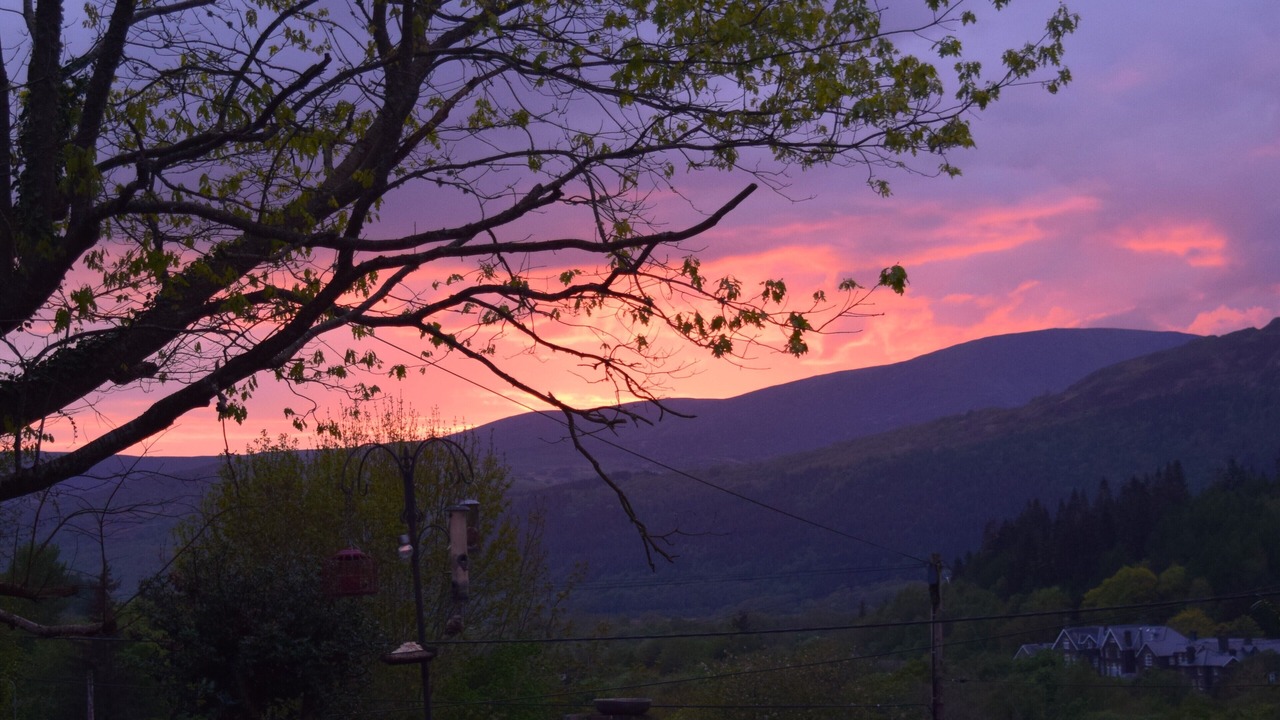 Photo of Others in Dolgellau