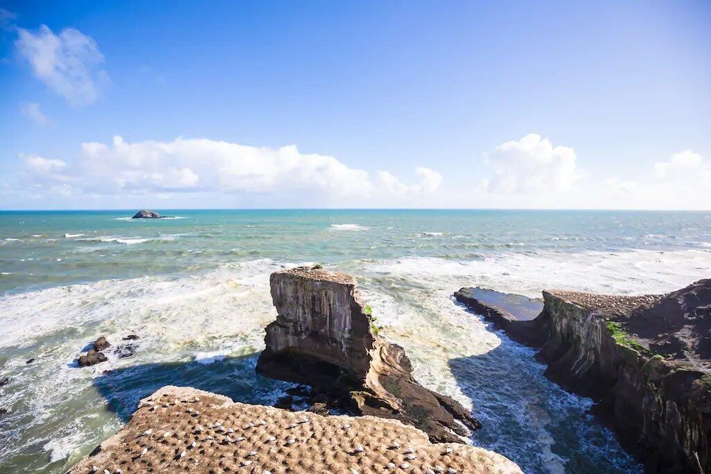 Photo of Others in Muriwai