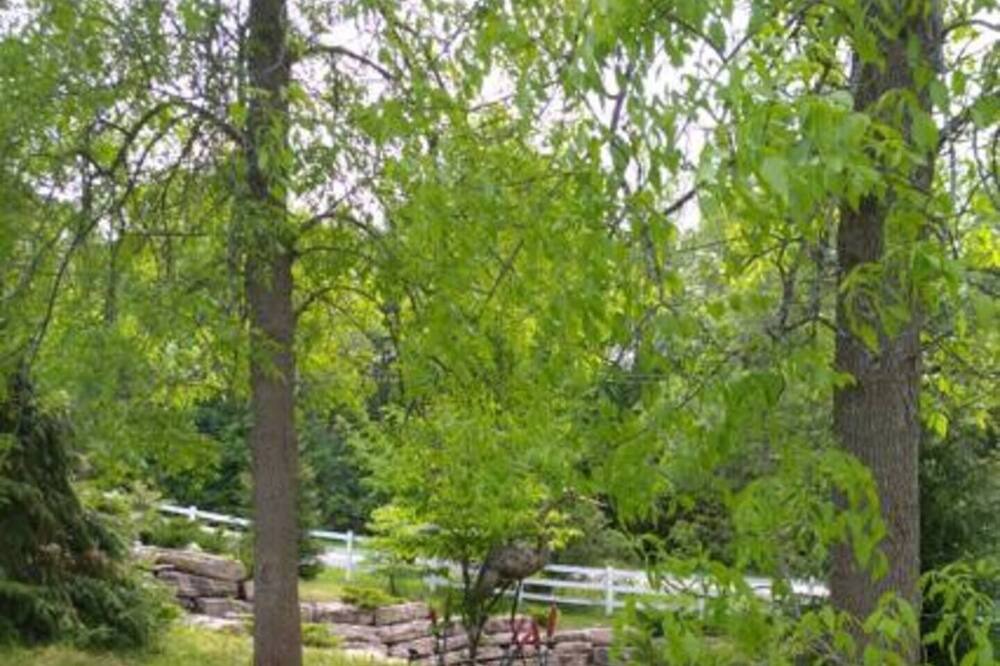 Photo of Outdoor in Ramara