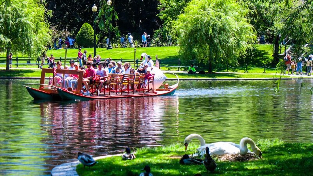 Photo of Others in Seaport District