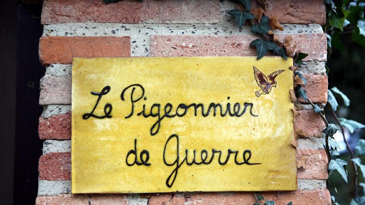 Photo of Others in L'Isle-Jourdain