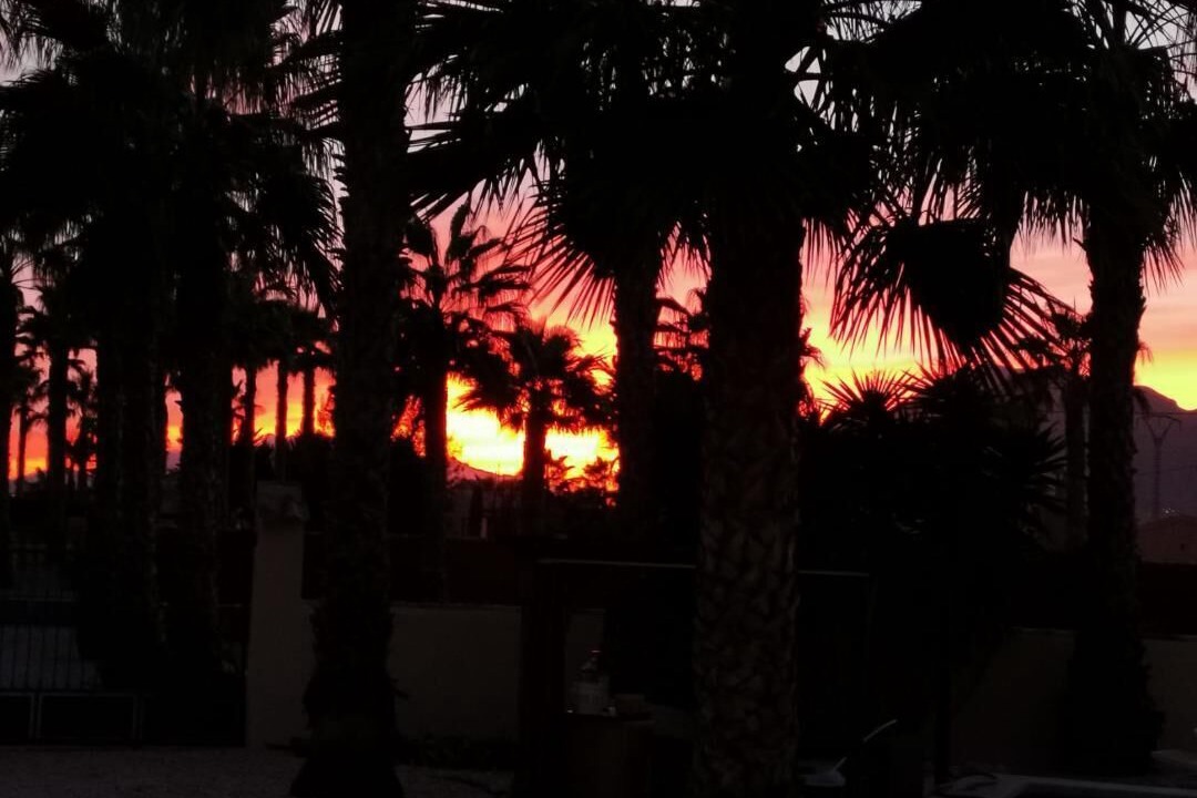 Photo of Outdoor in Orihuela