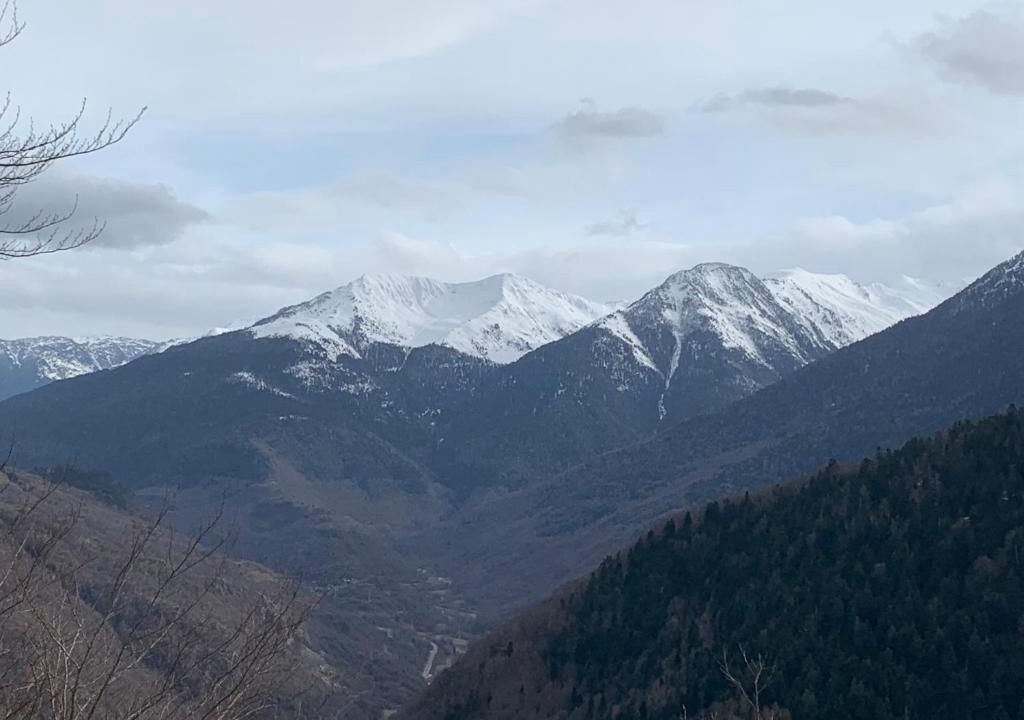 Photo of Others in Estancarbon