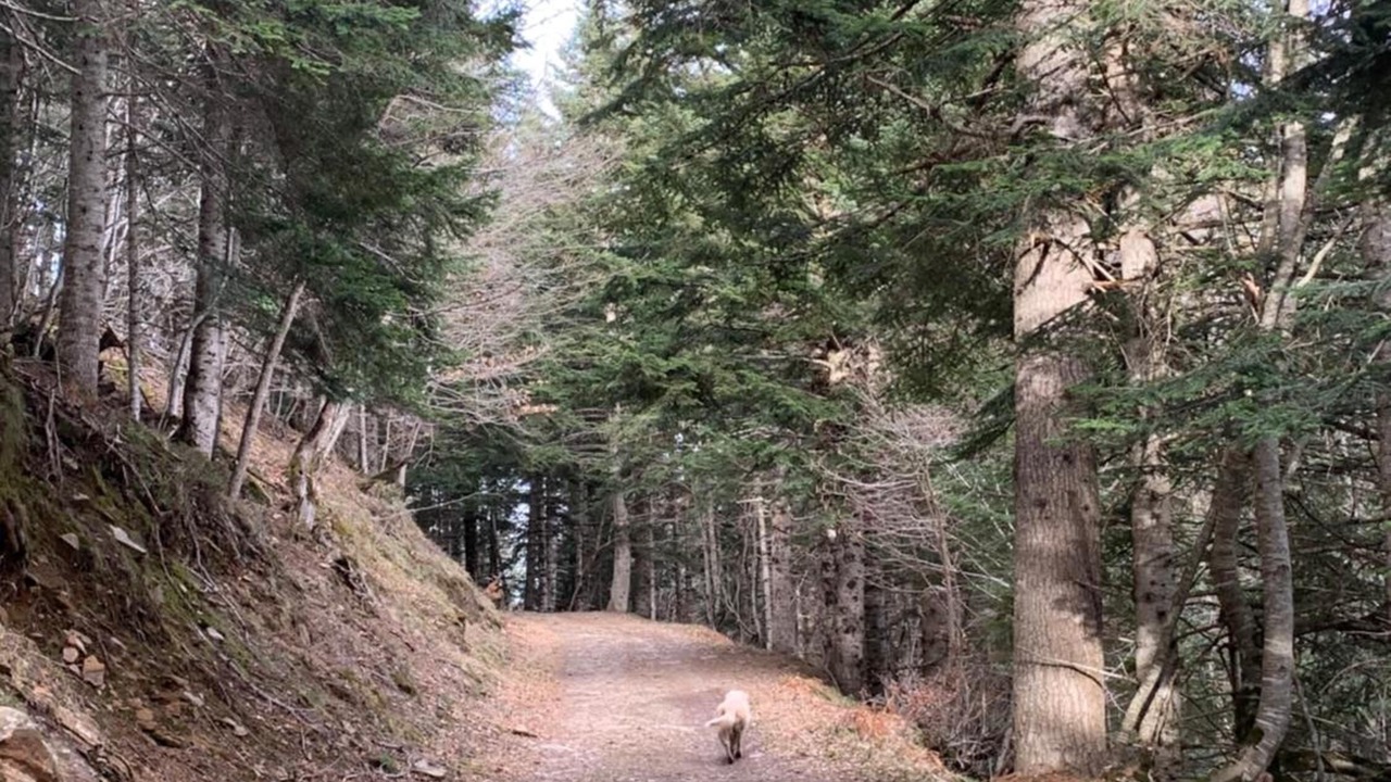 Photo of Outdoor in Estancarbon