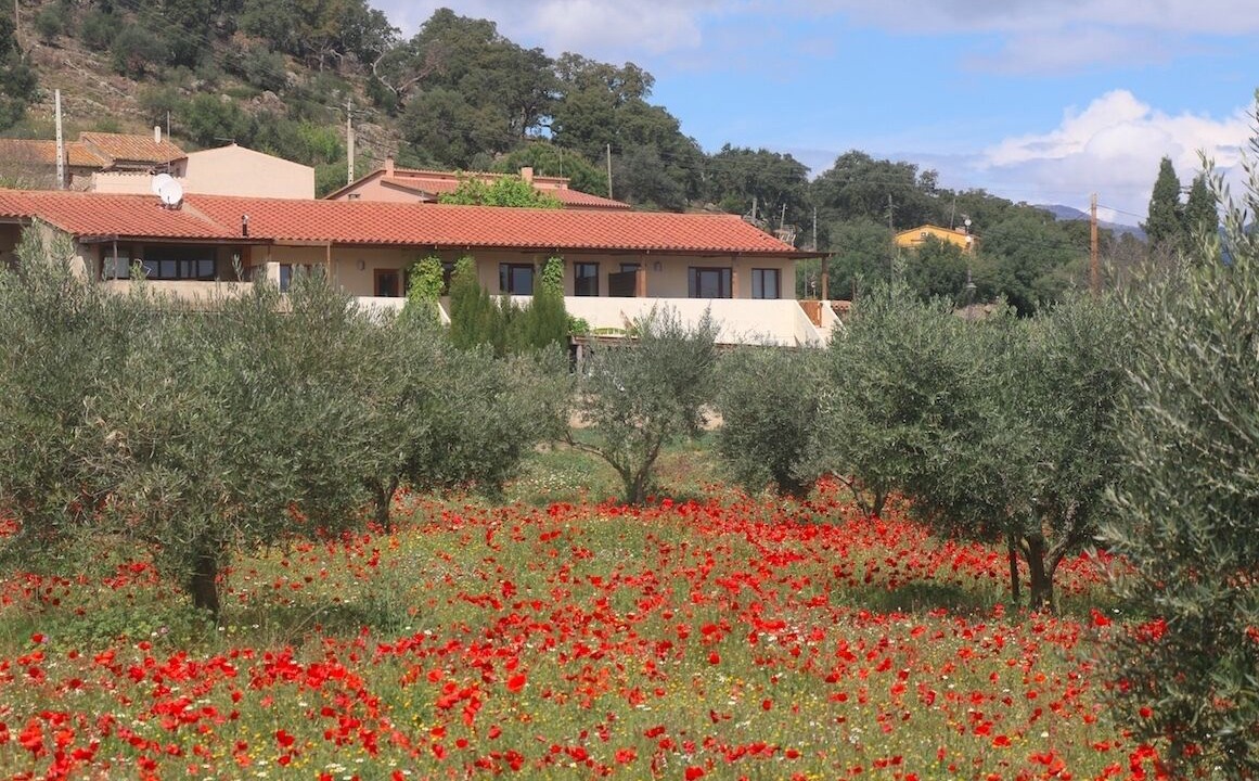 Photo of Outdoor in Masarac