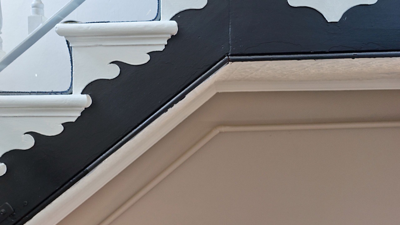 Photo of Others in Singleton