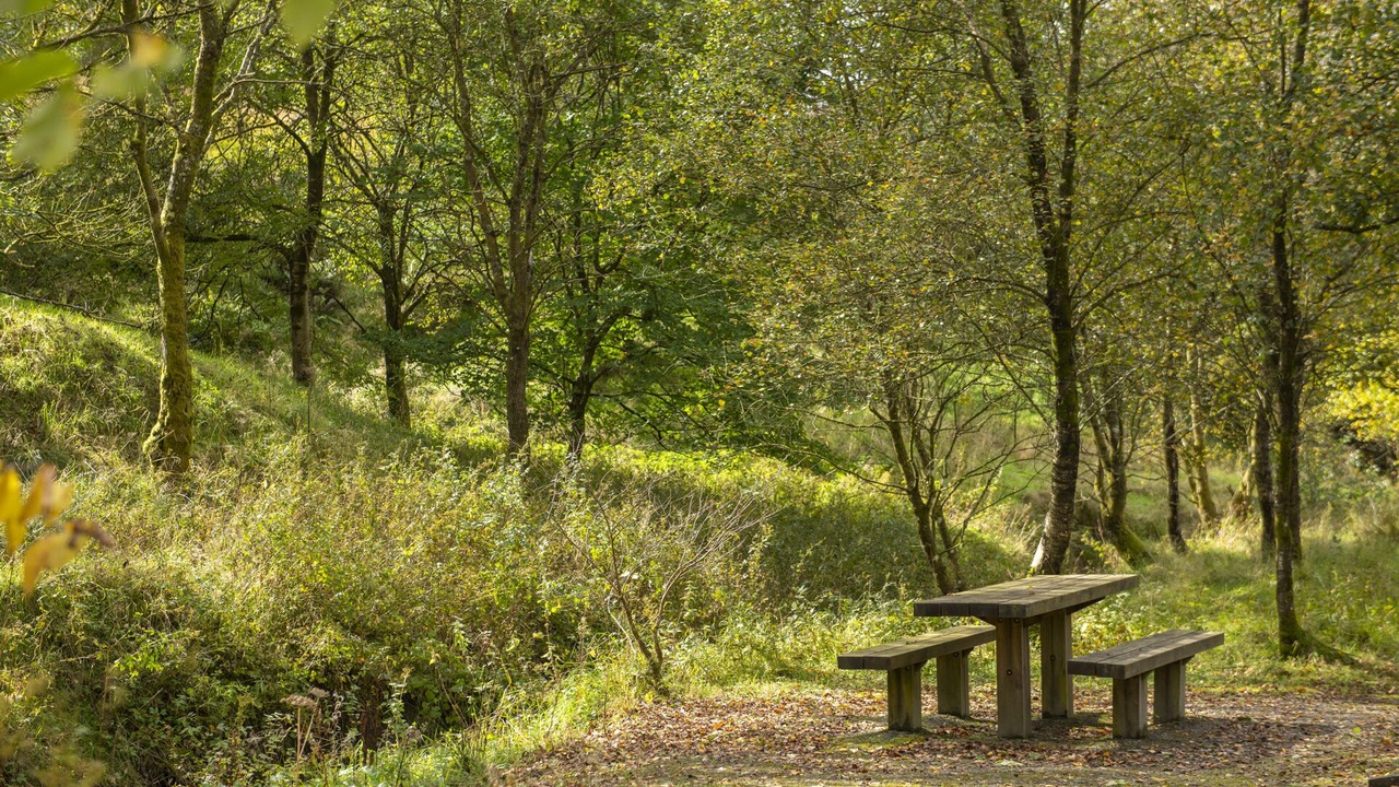 Photo of Outdoor in Newcastleton