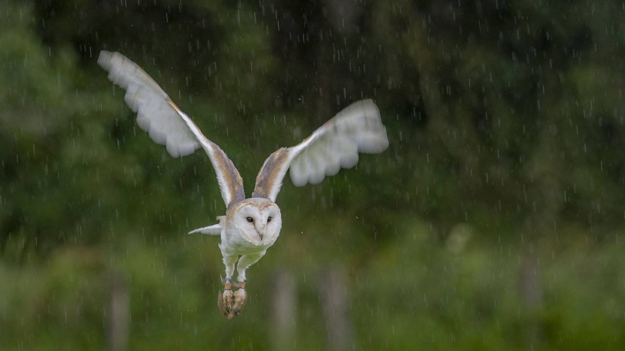 Photo of Others in Newcastleton