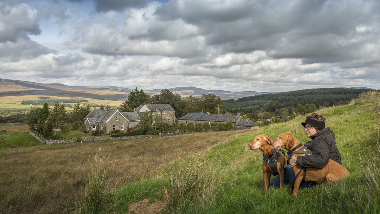 Photo of Others in Newcastleton