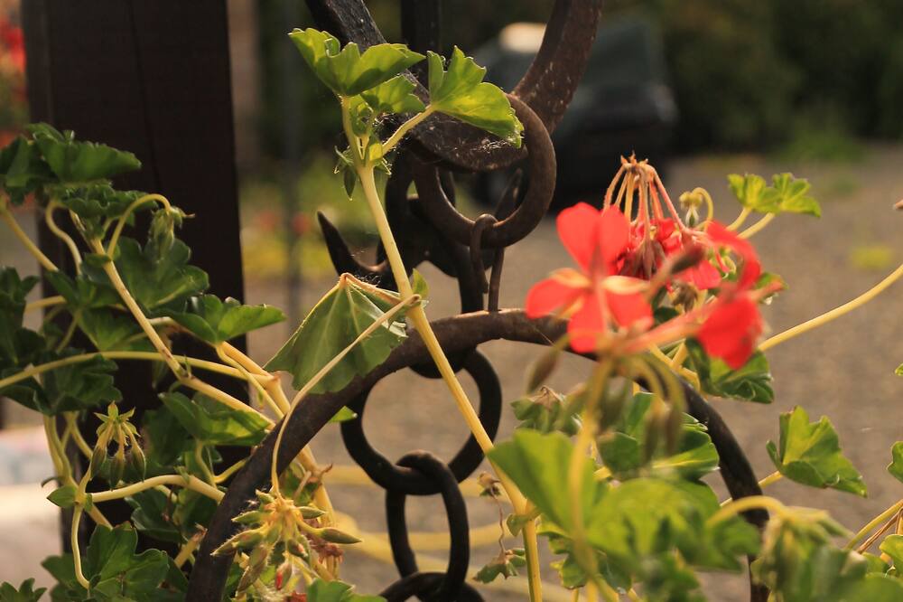 Photo of Outdoor in Cogles