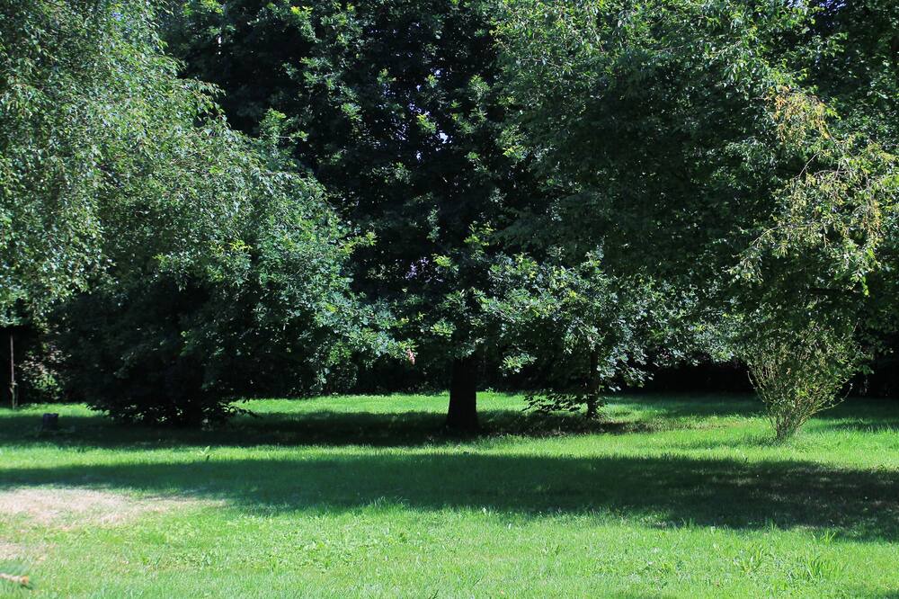 Photo of Outdoor in Cogles