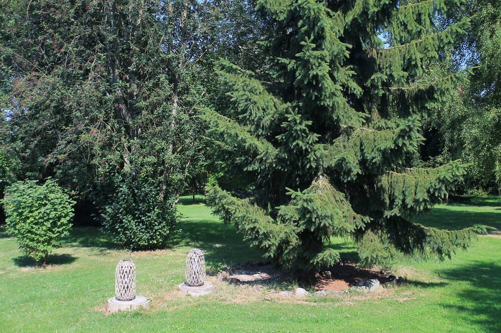 Photo of Outdoor in Cogles