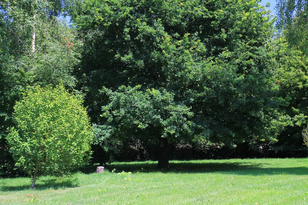 Photo of Outdoor in Cogles