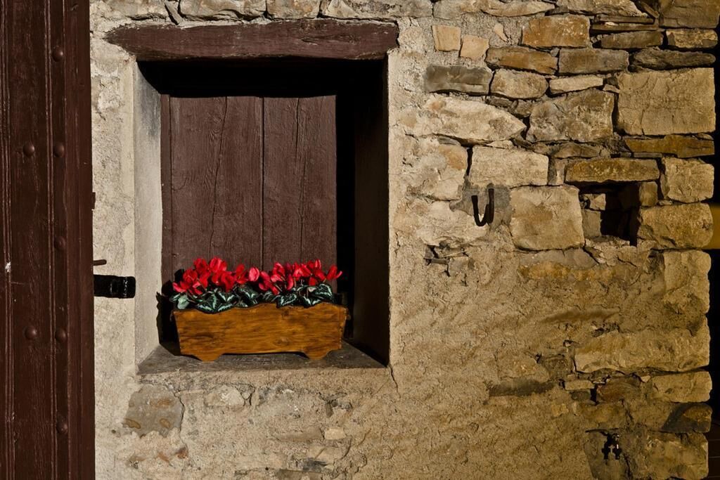 Photo of Outdoor in Collmorter