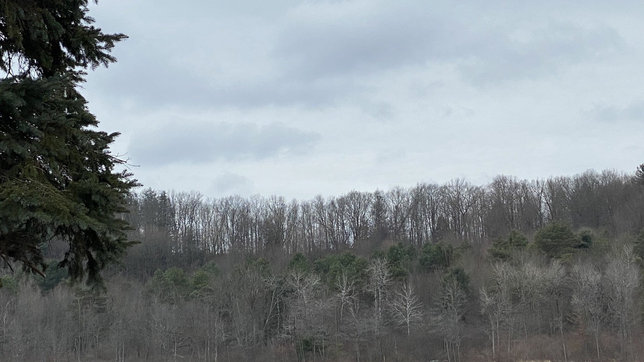 Photo of Outdoor in Hawk Run