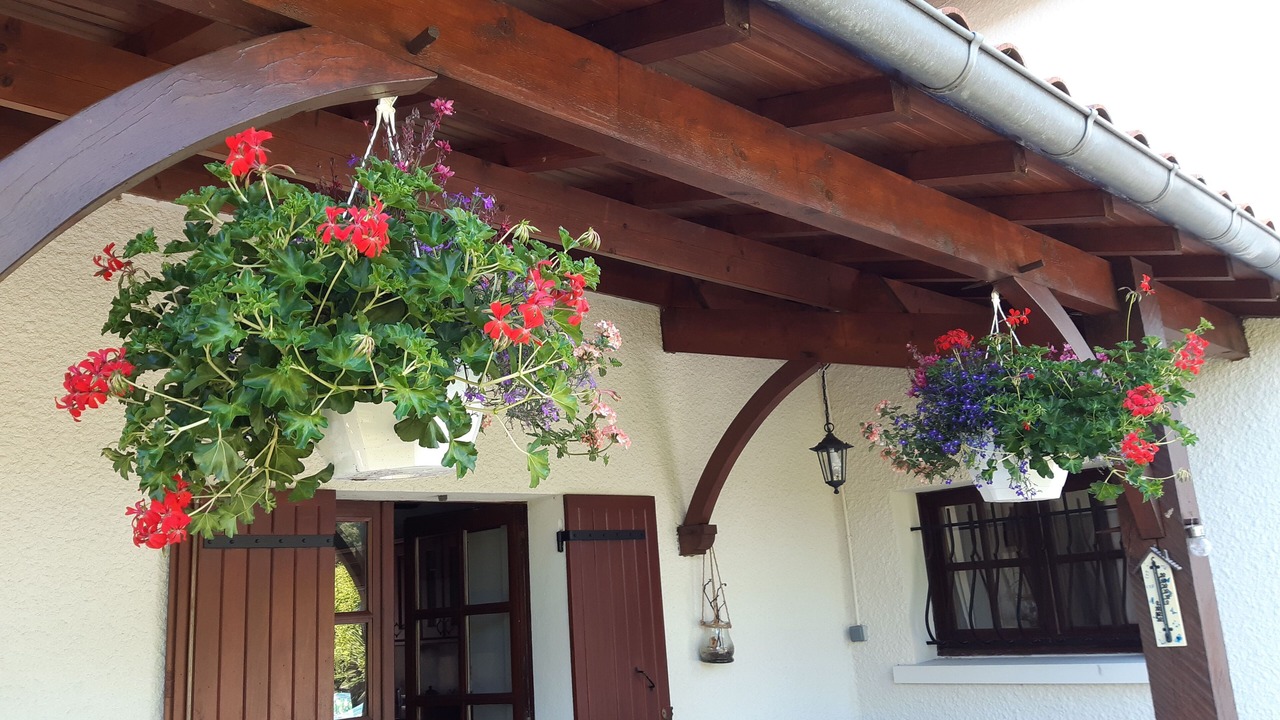 Photo of Outdoor in Saint-Aulaye-Puymangou