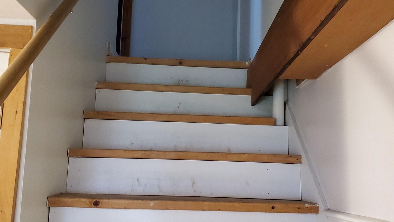 Photo of Others in Waterport