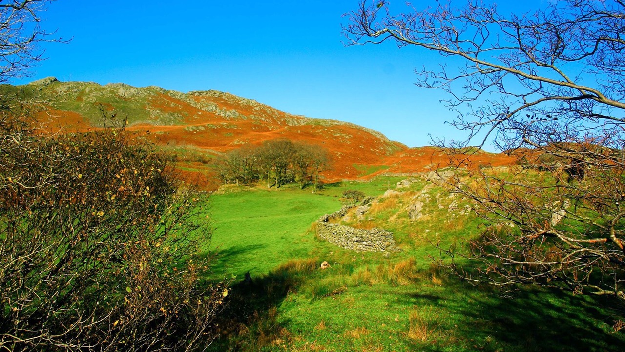 Photo of Others in Goshen