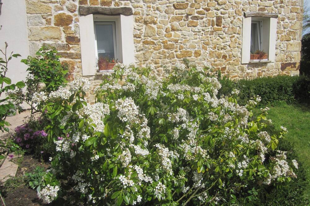 Photo of Outdoor in Hazas de Cesto