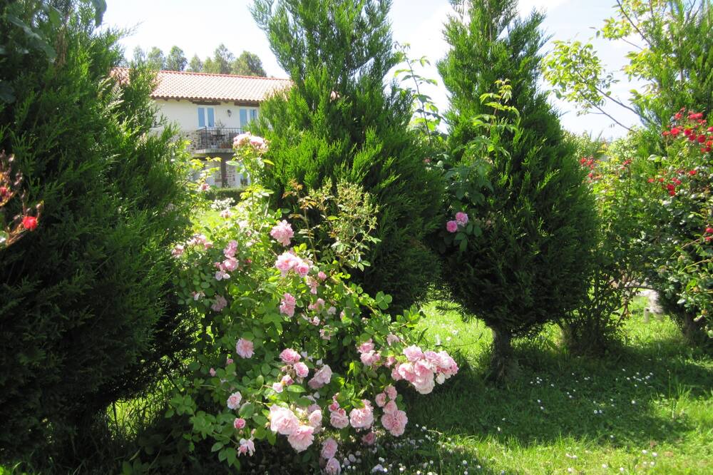 Photo of Outdoor in Hazas de Cesto