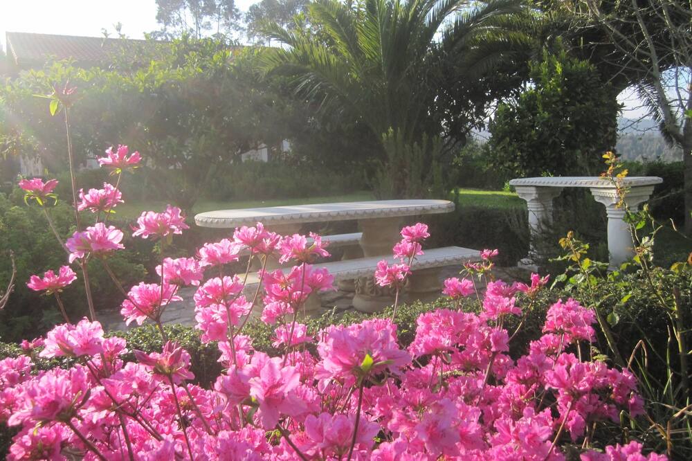 Photo of Outdoor in Hazas de Cesto