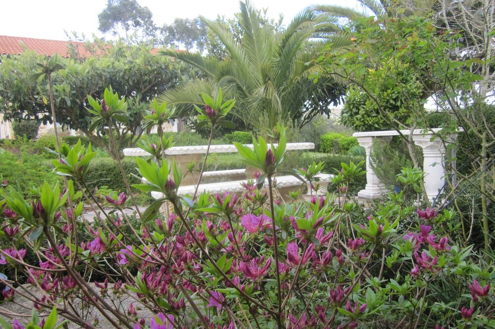 Photo of Outdoor in Hazas de Cesto