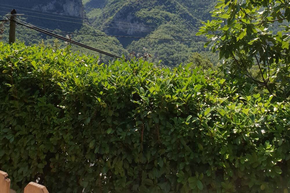 Photo of Others in Lantosque