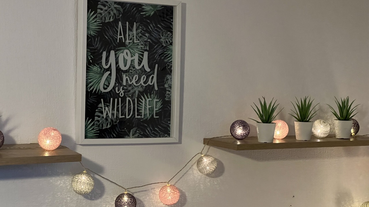 Photo of Others in Lunel