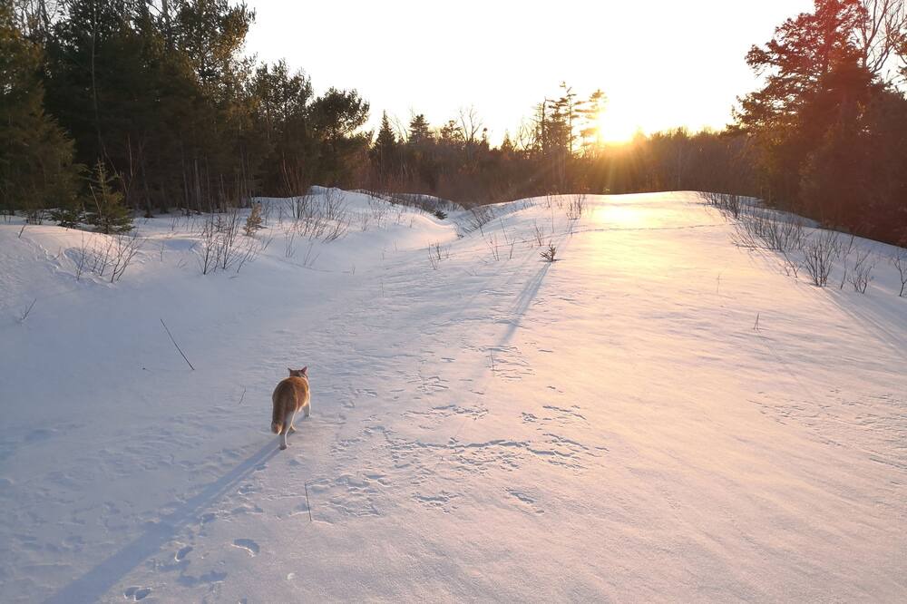 Photo of Others in Cape Breton Island
