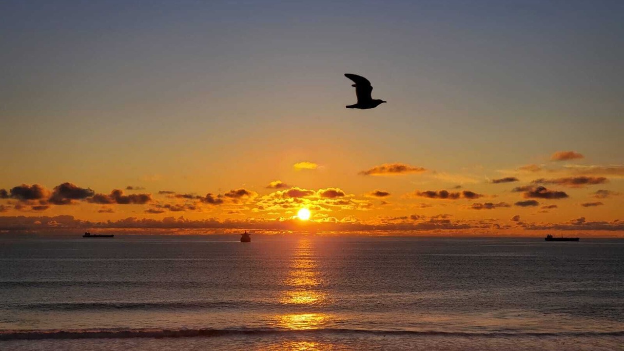 Photo of Others in Centro Playas