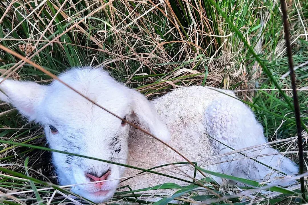 Photo of Outdoor in Durham Lead