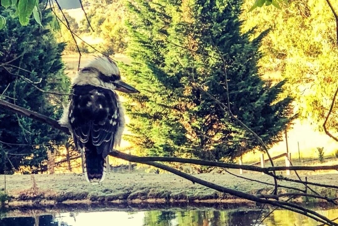 Photo of Outdoor in Durham Lead