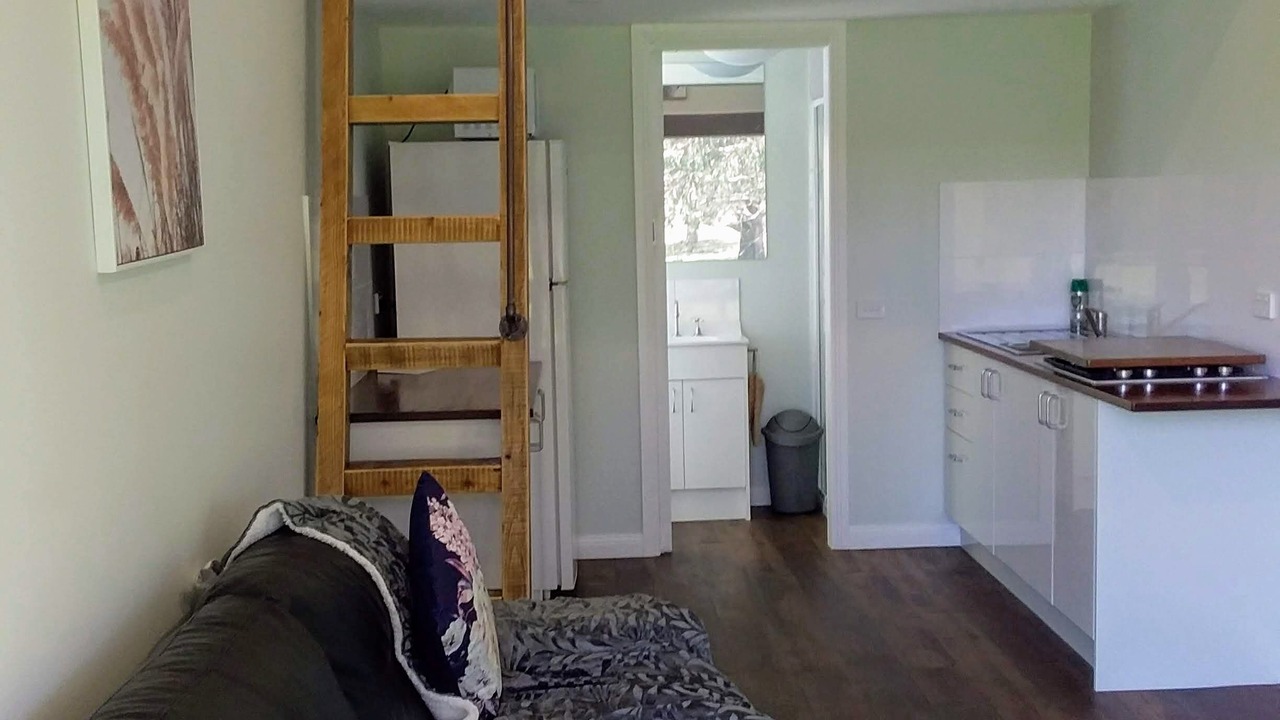 Photo of Others in Durham Lead