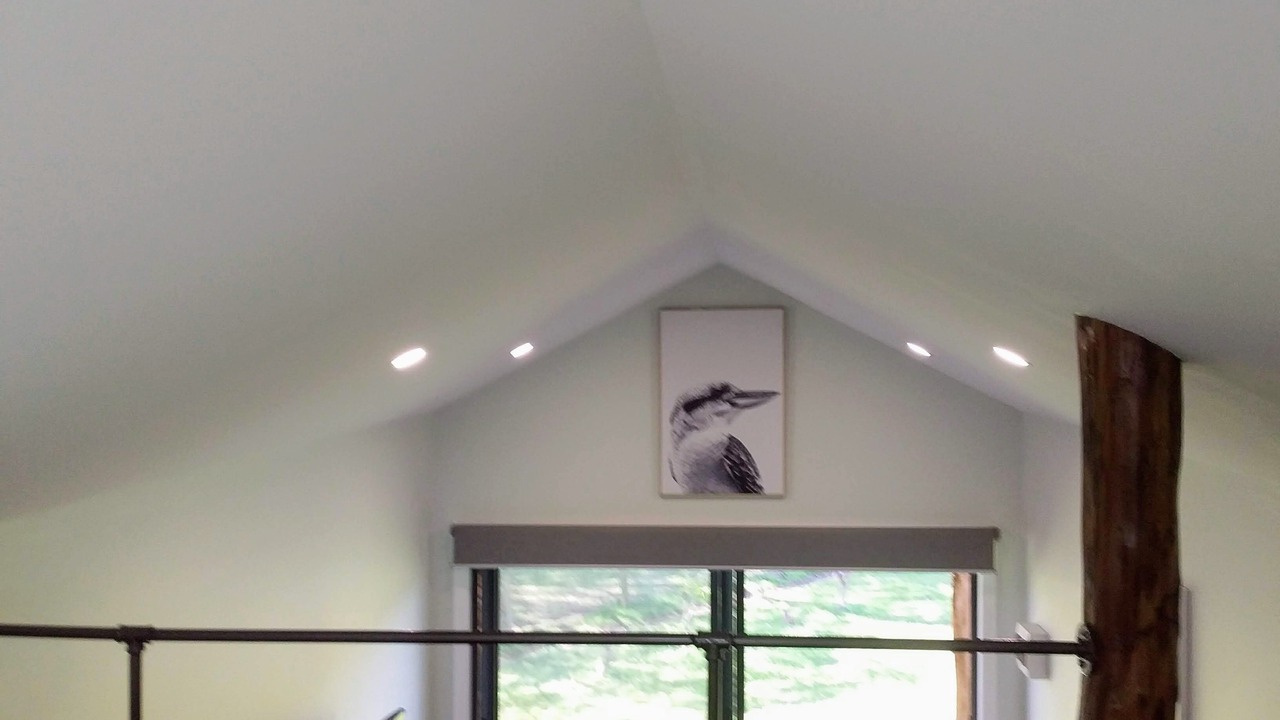 Photo of Others in Durham Lead