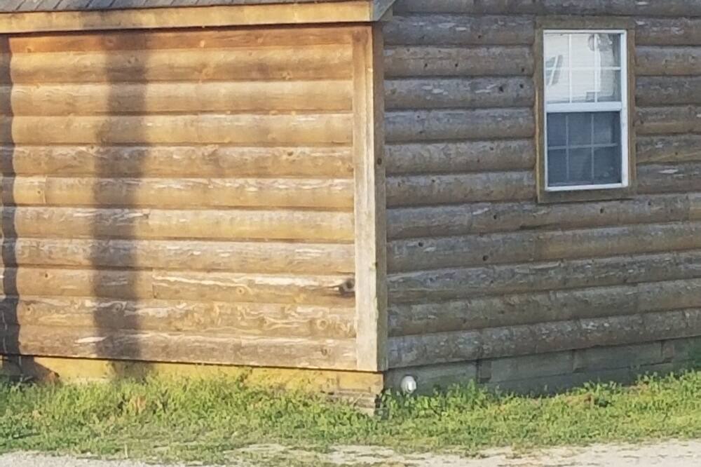Photo of Outdoor in Grove