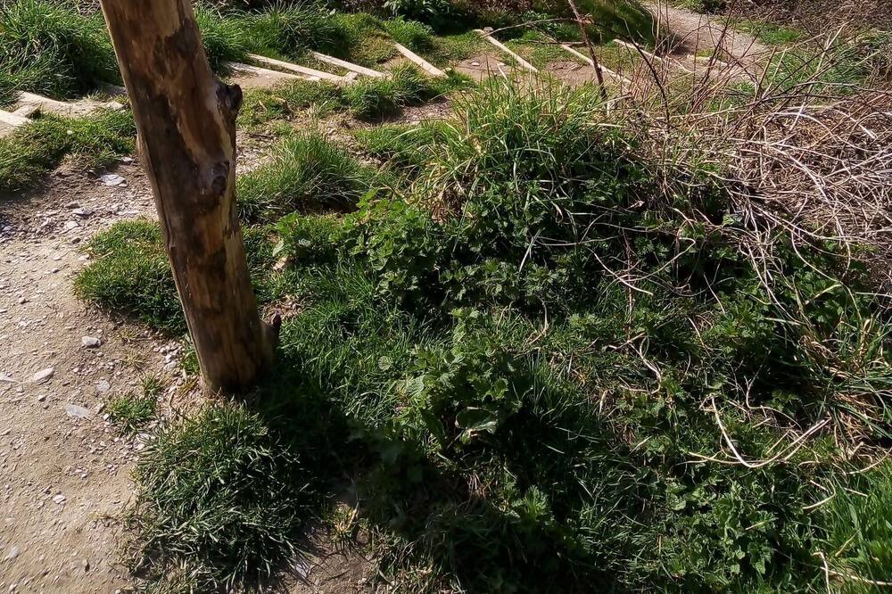 Photo of Others in Mortehoe