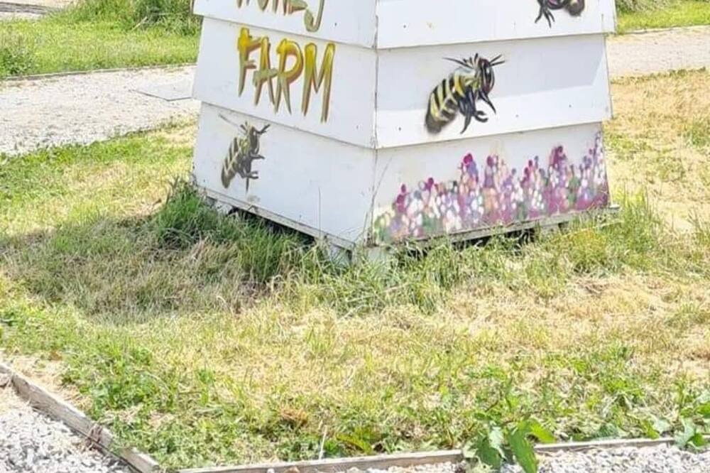 Photo of Others in Mortehoe