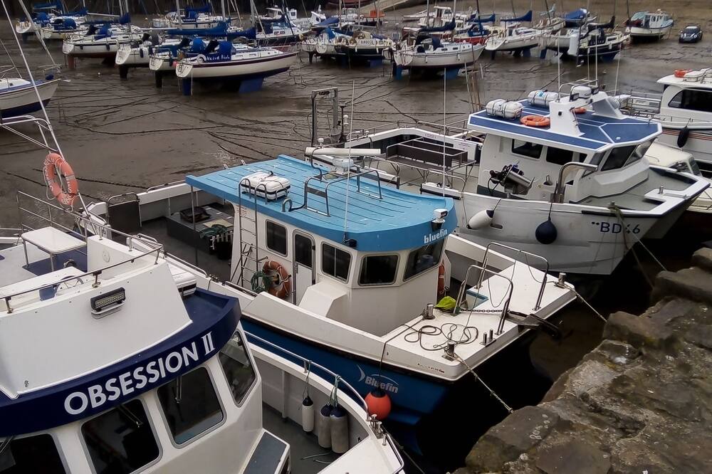 Photo of Others in Mortehoe