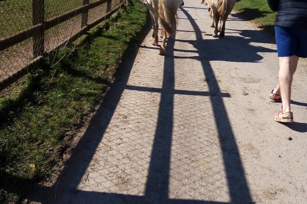 Photo of Others in Mortehoe