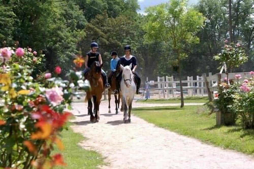 Photo of Outdoor in Azay-sur-Cher