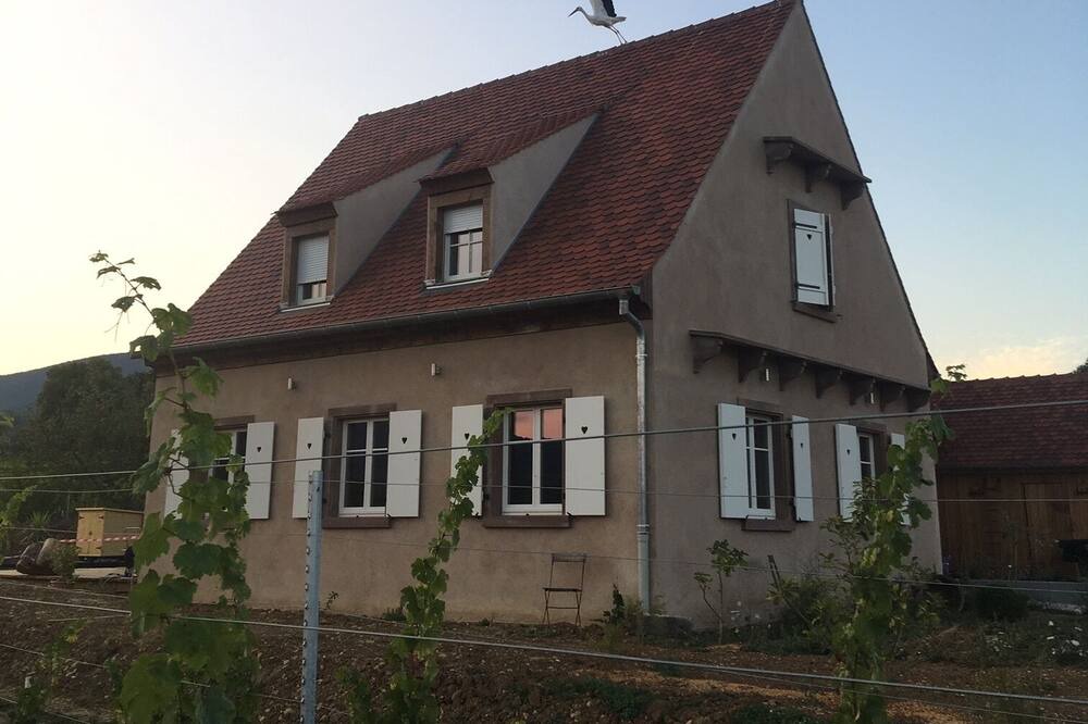 Photo of Outdoor in Mittelbergheim