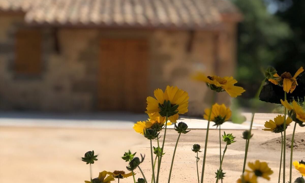 Photo of Outdoor in Biosca